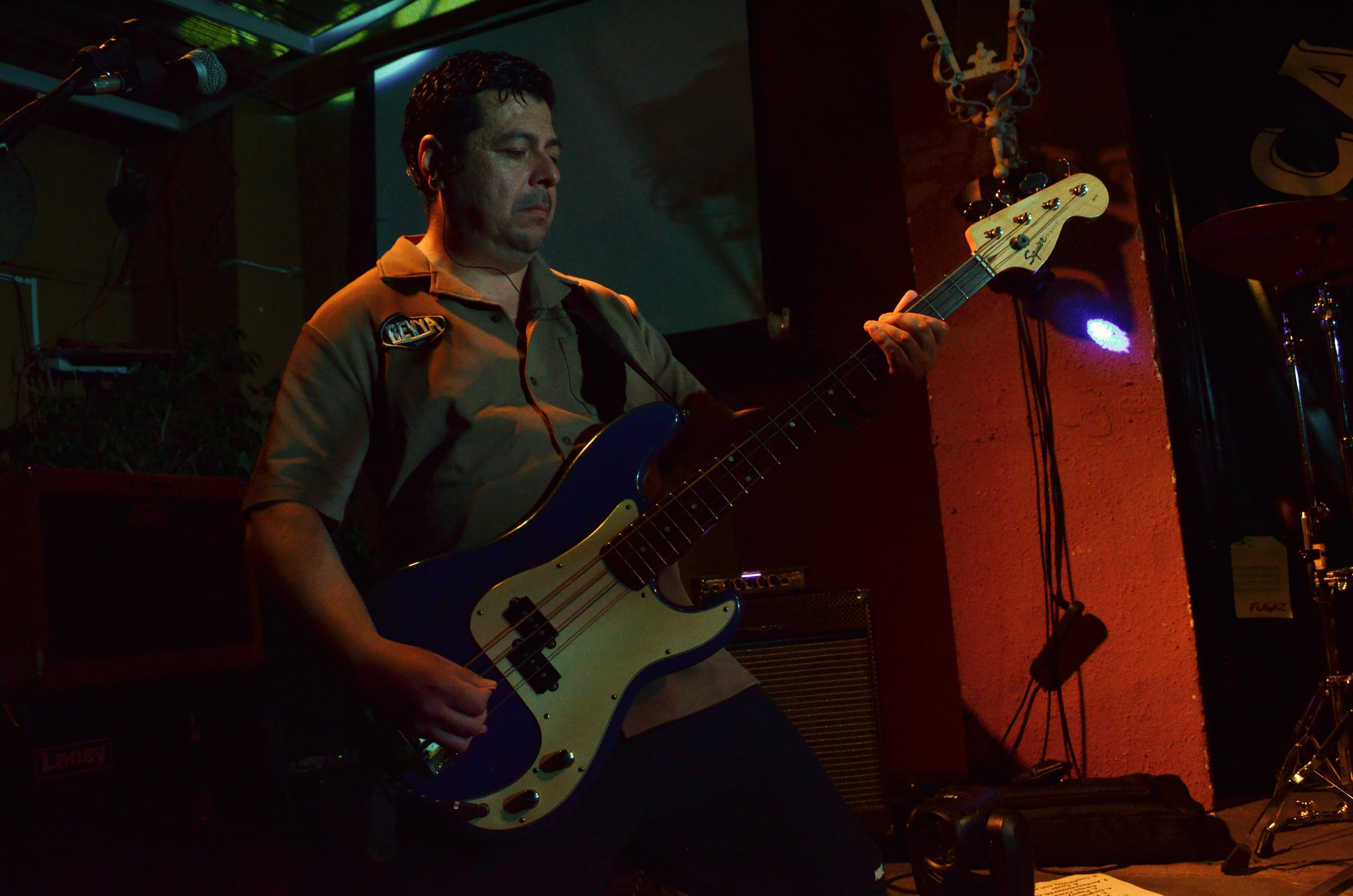 REVYA en vivo