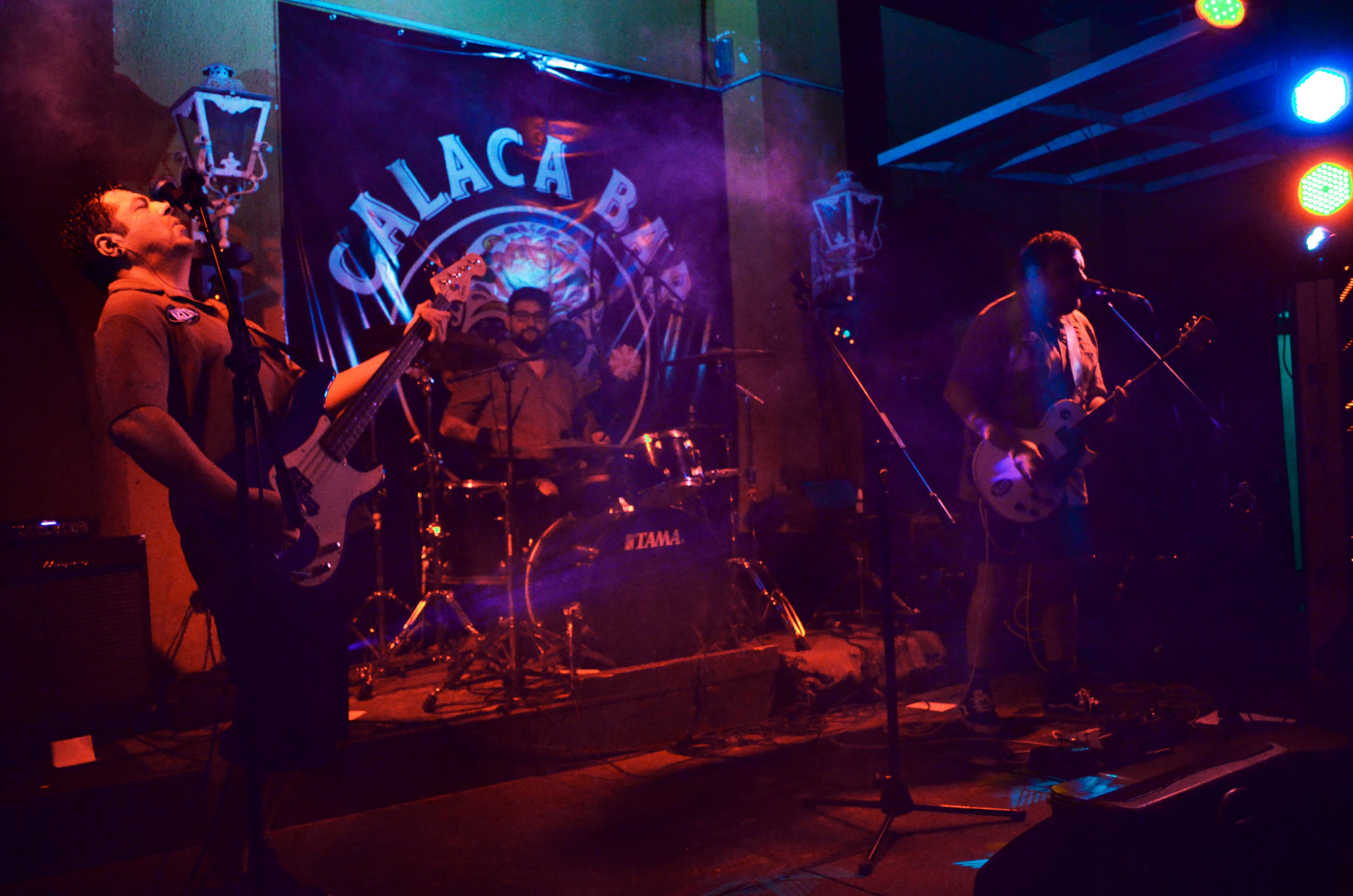 REVYA en vivo